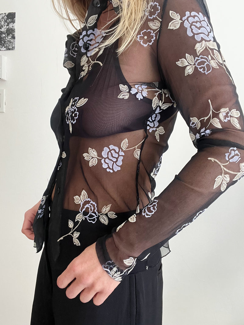 Sheer Blouse